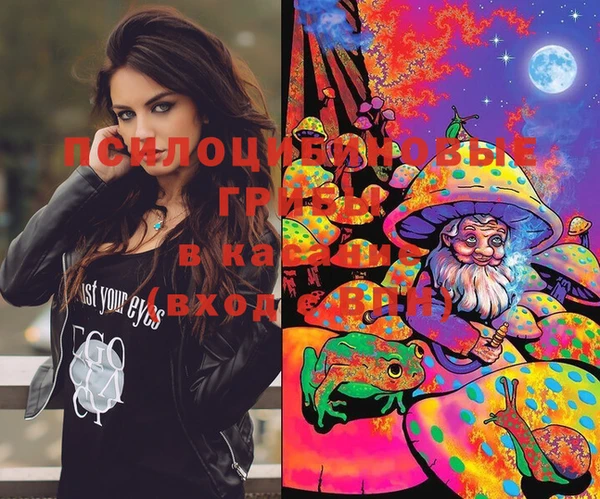 прущая мука Бородино